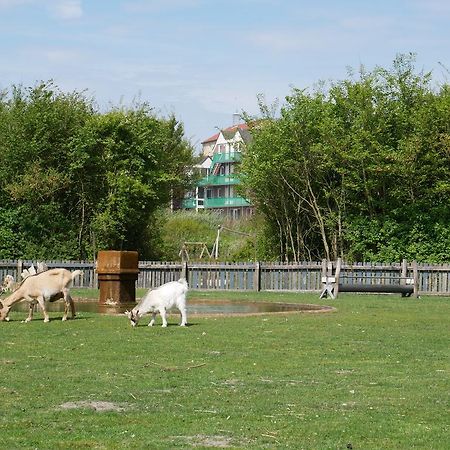 Huize De Duinen Aparthotel Bergen aan Zee Bagian luar foto