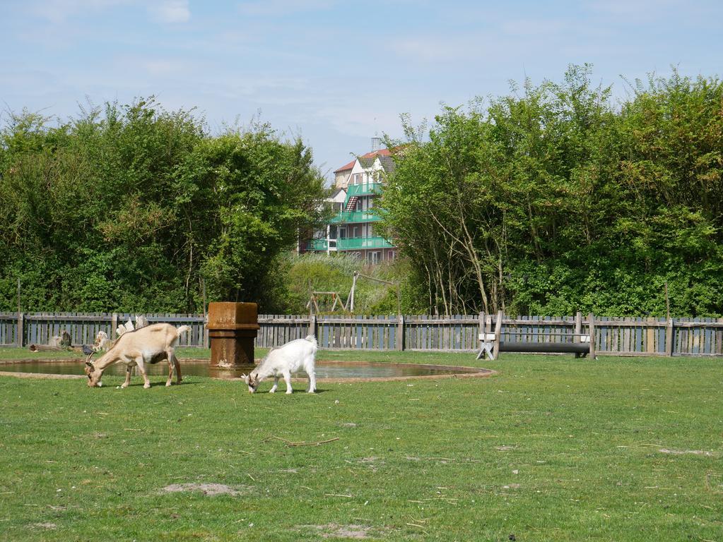 Huize De Duinen Aparthotel Bergen aan Zee Bagian luar foto