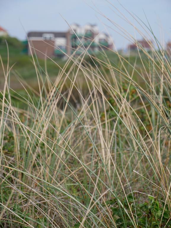 Huize De Duinen Aparthotel Bergen aan Zee Bagian luar foto