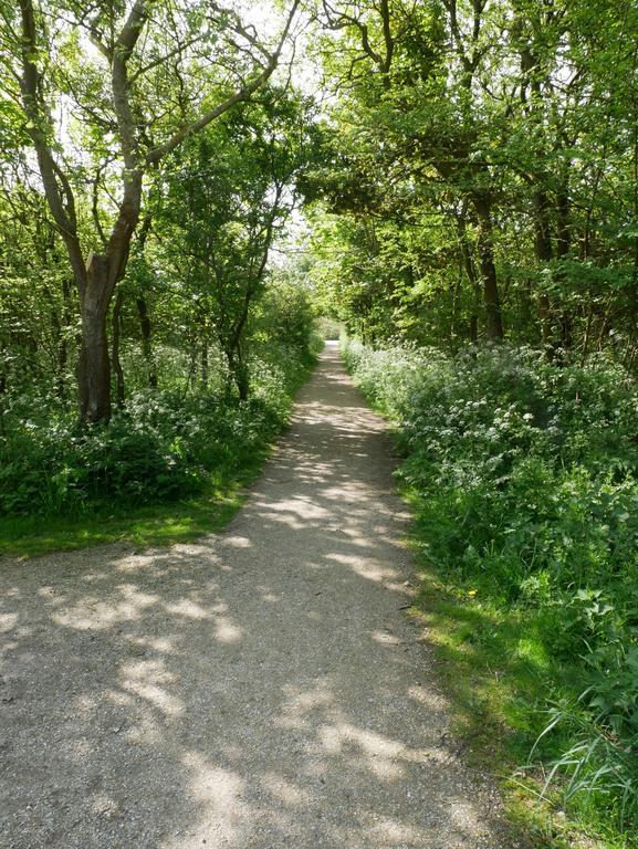 Huize De Duinen Aparthotel Bergen aan Zee Bagian luar foto