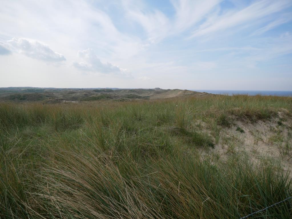 Huize De Duinen Aparthotel Bergen aan Zee Bagian luar foto